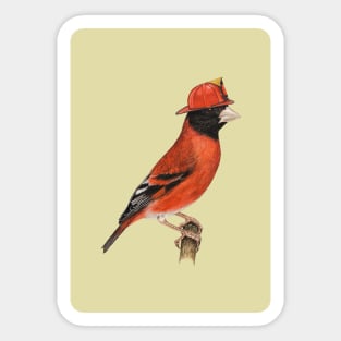 Red siskin Sticker